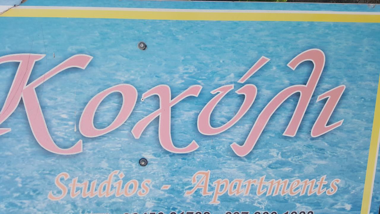 Koxyli Studios Vassiliki Esterno foto